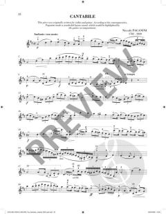 Sheila M. Nelson's Romantic Violinist 