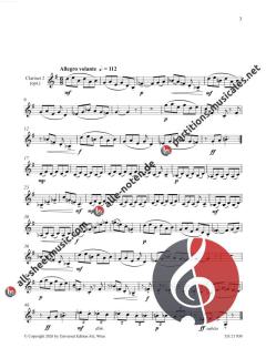 14 Studies in Duet Form von James Rae 