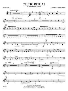Celtic Ritual von John Higgins (Download) 