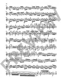 Sonaten und Partiten von Johann Sebastian Bach 