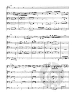 Konzert für Oboe d'amore (Oboe), Streicher und Basso continuo A-Dur von Johann Sebastian Bach (Download) 