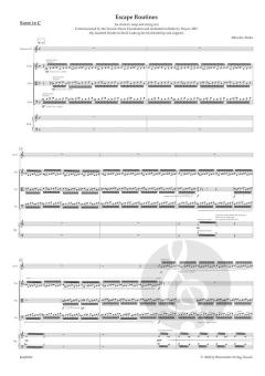 Escape Routines von Miroslav Srnka (Download) 