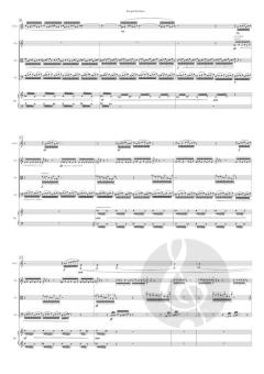 Escape Routines von Miroslav Srnka (Download) 