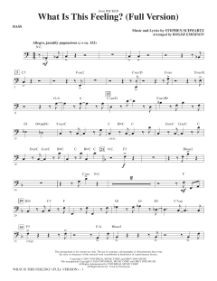 What Is This Feeling? (Full Version) von Stephen Schwartz (Download) 