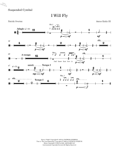 I Will Fly (Full Orchestration) von James Granville Eakin (Download) 