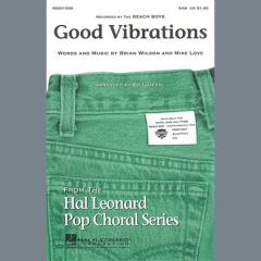 Good Vibrations von Beach Boys (Download) 