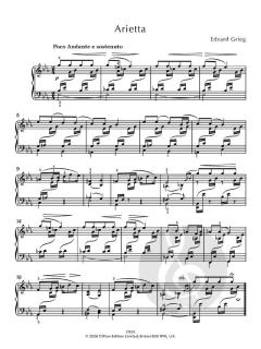 More Essential Piano Repertoire Grade 5 von Wolfgang Amadeus Mozart (Download) 