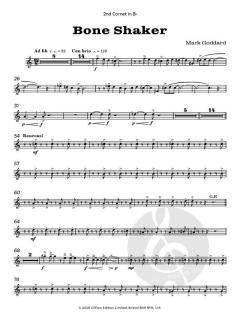 Bone Shaker von Mark Goddard (Download) 