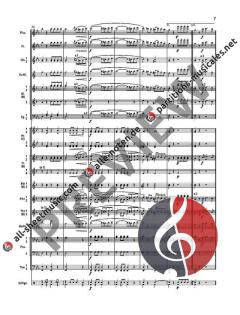 Am wunderschönen Rhein! op. 35  von Johann Schwarz 