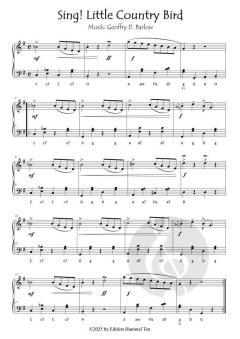 Country Music - Easy Country Songs von Geoffrey D. Barlow (Download) 
