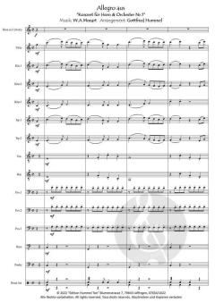 Dona Nobis Pacem - Gib uns Frieden (Download) 