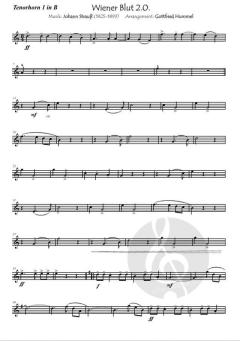 Wiener Blut 2.0. (Ballroomversion) von Johann Strauß (Download) 