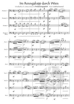 Im Renngalopp durch Wien von Gottfried Hummel (Download) 