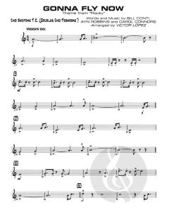 Gonna Fly Now von Bill Conti 