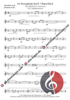 Im Renngalopp durchs Bayernland von Gottfried Hummel (Download) 