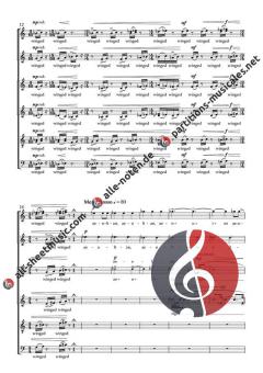 Flight von Michael Ostrzyga (Download) 