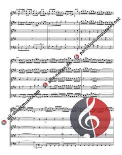 Konzert BWV 1042 (J.S. Bach) 