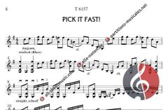 Pick it fast von Michael Reichenbach 