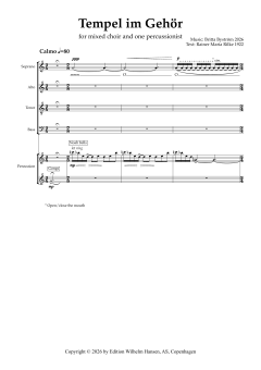 Tempel im Gehör von Britta Byström (Download) 