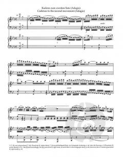 Kadenzen und Eingänge zu den Klavierkonzerten von Wolfgang Amadeus Mozart im Alle Noten Shop kaufen