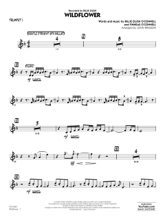 Wildflower von Billie Eilish (Download) 