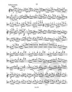 Hohe Schule des Violoncellospiels op. 73 von David Popper im Alle Noten Shop kaufen