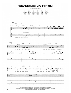 Why Should I Cry For You? von Sting (Download) 