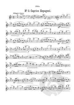 Suite Op. 60 von Th. H. H. Verhey 