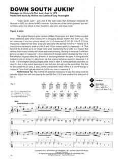 Guitar Signature Licks von Lynyrd Skynyrd 