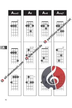 Mandolin Chord Finder (6x9) von Chad Johnson im Alle Noten Shop kaufen