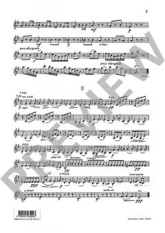 Concerto G-Dur RV 298/PV 100 von Antonio Vivaldi 