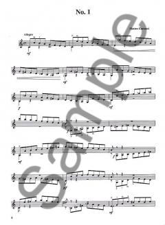 25 Melodic And Progressive Studies Op.60 von Matteo Carcassi 