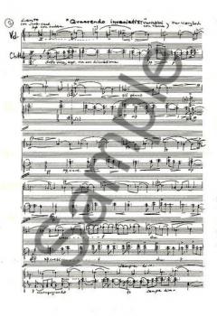 Variations In Search Of A Theme von Per Norgard 