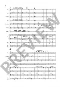 Sinfonie Nr. 5 c-Moll op. 67 von Ludwig van Beethoven 
