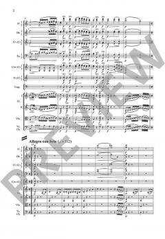 Sinfonie Nr. 1 C-Dur op. 21 von Ludwig van Beethoven 