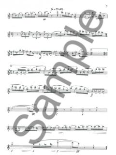 Michael's Suite for Solo Flute von Ezra Laderman 