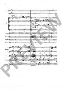 Ein Heldenleben op. 40 von Richard Strauss 