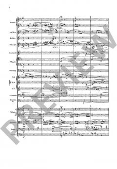 Ein Heldenleben op. 40 von Richard Strauss 