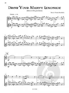 Celtic Flute Duets von Florian Bramböck 