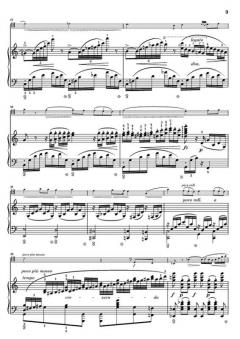 Polonaise Brillante op. 3 und Duo Concertant von Frédéric Chopin 