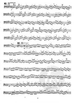 Selected Kopprasch Studies von C. Kopprasch 