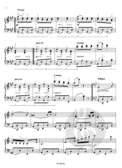 Danse hongroise Nr. 5 von Johannes Brahms 