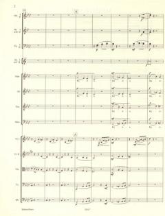 Messe f-Moll WAB 28 von Anton Bruckner für 4 Solostimmen, gemischten Chor und Orchester im Alle Noten Shop kaufen (Partitur)