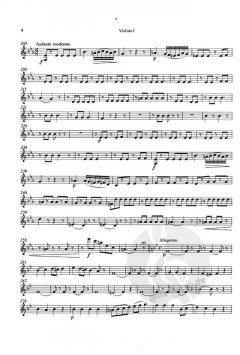 Concertino B-Dur für Klarinette und Fagott von Franz Danzi 