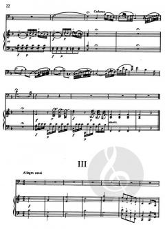 Concerto in C-dur (Jan Antonín Koželuh) 