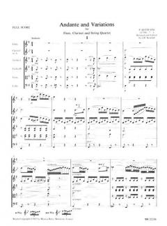 Andante und Variationen (Pietro Bottesini) 