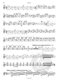 Symphonie Nr. 9 d-moll op. 125 von Ludwig van Beethoven 