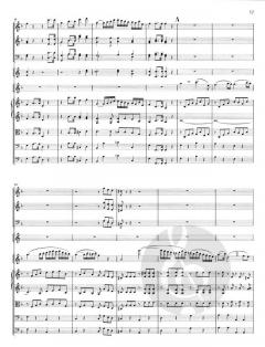 Romanzen G/F-dur op. 40/50 von Ludwig van Beethoven 