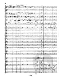 Wein, Weib und Gesang op. 333 von Johann Strauss (Vater) 