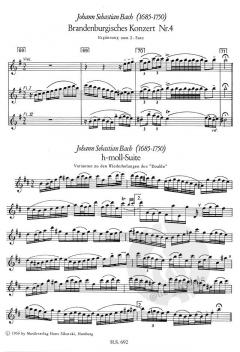 Kadenzen und Ergänzungen zu Flötenkonzerten des 18. Jahrhunderts von Burkhard Schaeffer im Alle Noten Shop kaufen